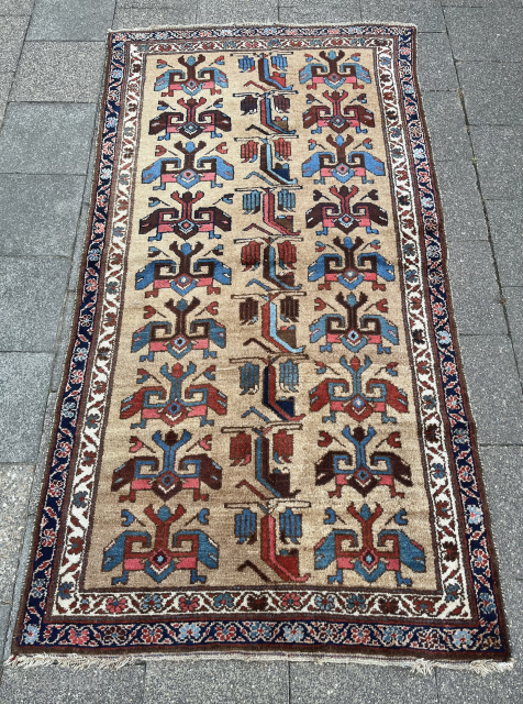 Good looking Hamadan Kurdishbaft all wool camel hair ground with striking flock of peacocks, as the bird has a high place in Kurdish culture. Lively colors great wool quality…
Acquired from a collector ...