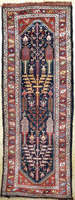 Antique runner Bakhtiari tree of life design 
Wool on wool 
For more details please What‘s app me                