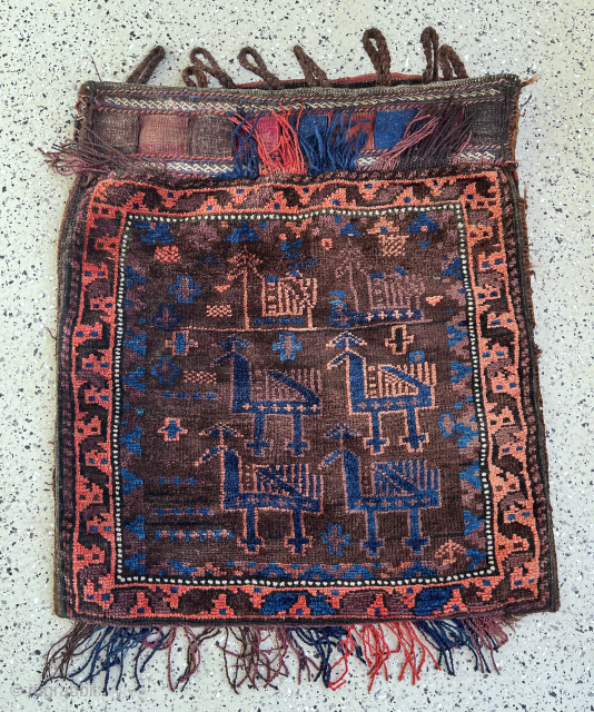 Interesting Baluch peacock fluffy wool great condition
56x63
285€ plus shipping
Contact: slip_knot_982@yahoo.com or WhatsApp +49 1523 4681016