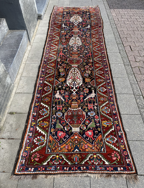 Gorgeous Bakhtiari Faradonbeh long runner interesting graphics top condition full pile great colors
115x385
1400€ plus shipping
Contact: slip_knot_982@yahoo.com or WhatsApp +49 1523 4681016