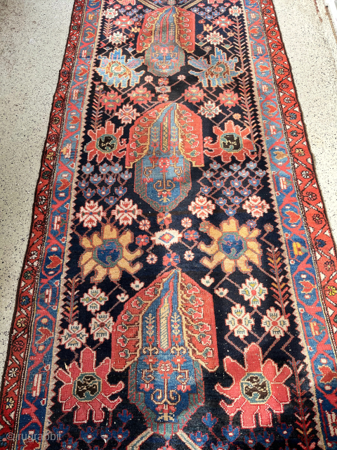 Luri Bakhtiari runner ca. 120x300
What’s app me                          