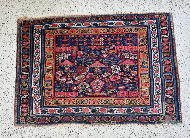 Super rare antique Ru Korsi Bidjar Garrus pre 1900, charming graphics, magical colors and some old repairs
450€ plus shipping
Contact: WhatsApp +49 1523 4681016