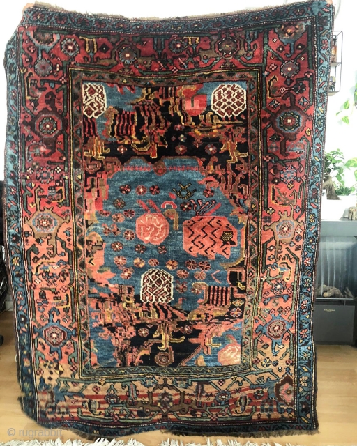 Bidjar late 19th
170x132
Full pile but needs a repair.
More images will be sent upon request.