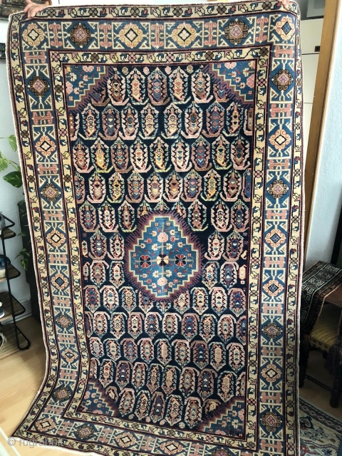 Shirvan Baku Boteh Khila
1920
120x200
In superb condition.
Please ask for the price                       