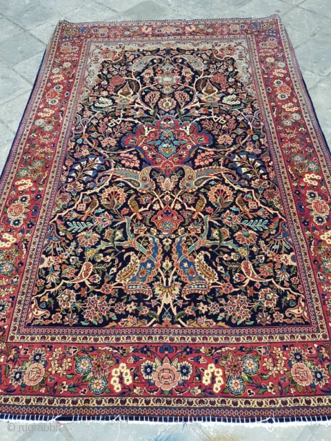 Fine pair kashan rugs
Excellent colors,in mint condition,edges are in good condition,circa 1920                     