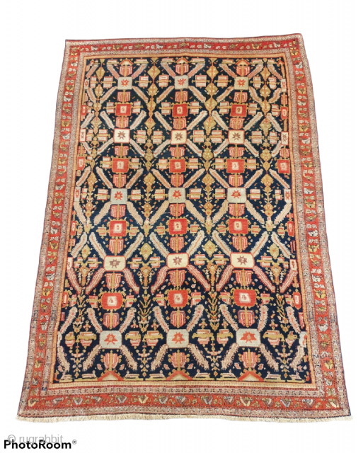 Sanandaj rug

I'm of the opinion that the pattern of this velvet like Kurdish rug is originated from Herati fish pattern , although the structure looks like Zeichur rugs of Caucasus. 
Background of  ...