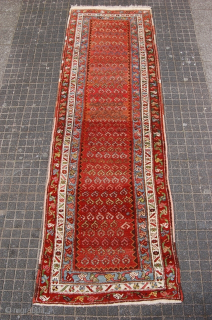 antique Kurdistan runner 320 x 103 cm (10f 8" x 3ft 5") early or 1st quarter 20th century. All natural dyes. Condition: ready to use, evenly medium to low pile (minor wear  ...