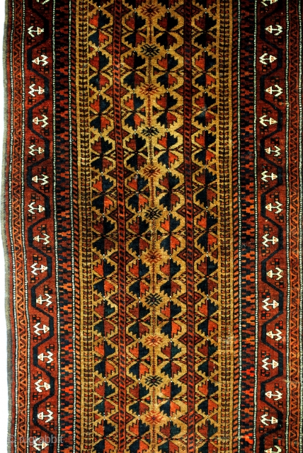 Fine Baluch, Camel ground field. 
Beautiful glow! 
180 x 80 Cm. 6 feet x 2.6 feet. 
Perfect condition. 
All natural dyes. 
           
