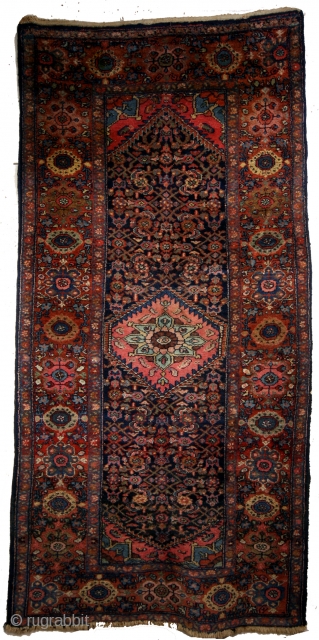 Kurd Bidjar, 1930's dozar size, 120 x 244 Cm. 
In great condition - all natural colors. 
Indigo field, pistache, rust red, brick red, licht blue, soft yellow, pink. 
15 mm thick. 
Knotted  ...