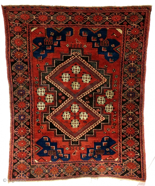 Antique Afshar, doj Goli i parizi = two flowers from Parizi is the name of the design. 175 x 145 Cm. This Beautiful flamimg red recolls the earlier Caucasion origin of the  ...