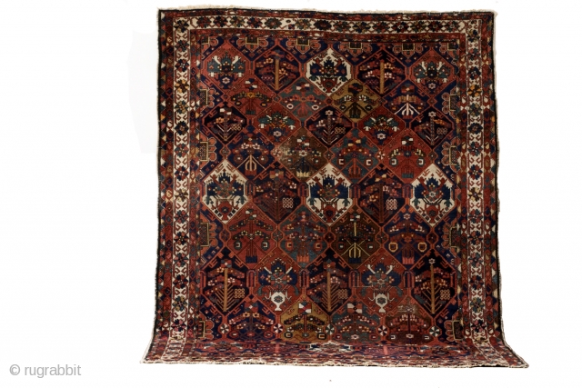 Bachtiar, 290 x 225 Cm. 9.6 ft. x 7.5 ft. 
Wool knotted on cotton. 
1930. 80 years old. 

Fields of Bachtiar. 
Each field depicts a garden.
Beautiful eggplant red.  
subtle color combination  ...