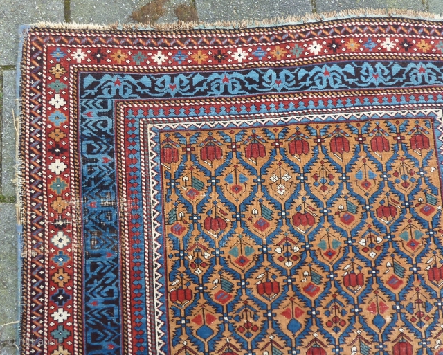 Caucasian Kuba Shirvan, 211 x 131 cms., end 19th c. Woolen warps, cotton wefted. With three localized areas of wear, as seen on the last three pictures. Selvedges needs attention. All natural  ...