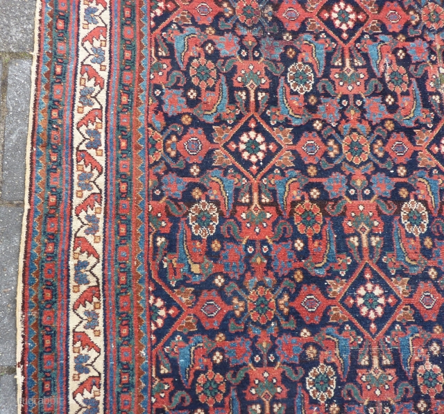 Afshar herati rug, 233  x 170  cm., 7'8" x 5'7", ca. 1900, with great, saturated colours. With wear and a kind of repaired 3 feet long slit (?) in the  ...