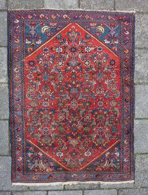 Finely woven Senneh small rug 147  x 105 cm., 4' 10" x 3' 5". Very good condition and pile. Just one tiny spot of wear ( last pict. ). All good  ...