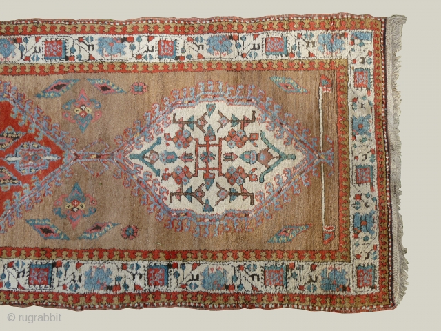 Serab runner, 428 x 96 cm., 14'1" x 3'2", ca. 1900. Thick, wooly pile and soft, all natural dyes on camelwool ground. One tiny lower area and loss of the small guard  ...