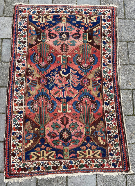 Sweet antique Bachtiari rug, 204 x 130 cm., with a nice range of colours, all natural. With low pile, the sides needs rewrapping and a small patch in the upper left corner.
robvanwieringen@telfort.nl 