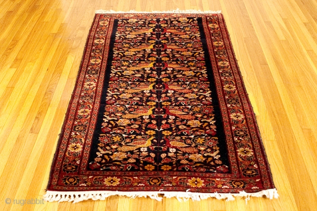 A pictorial rug with the colors of a Balouch but a finer weave on a cotton foundation.  I've asked several people to help identify it but the best we can come  ...