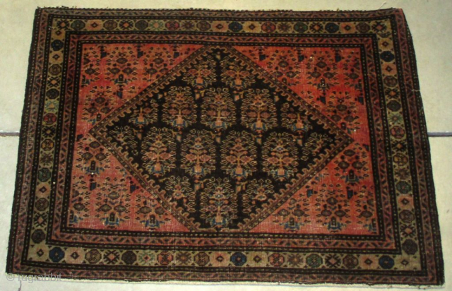This circa 1900 antique Fereghan Sarouk Persian Oriental Rug #8237 measures 2‘6 “ X 1’10”. It has a medium rose-colored field with an overall floral design and a brown diamond shaped center  ...