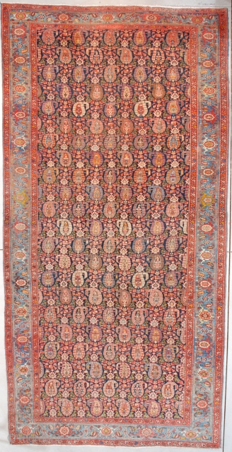 #7558 Antique Heriz Persian Rug 
This circa 1910 antique Heriz Oriental Carpet measures 6’10” X 13’9” (210 x 423 cm). This to my eye is a unique Heriz. I have never seen  ...