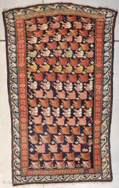 This early to mid 19th century Zeyhore Kuba #8229 antique Oriental Rug measures 3’5” X 5’0”. It has a dark blue field covered in what I believe to be are tulips in  ...