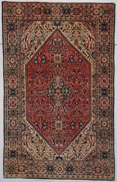 #7585 Fereghan Sarouk Antique Rug 
This circa 1890 Fereghan Sarouk Persian Oriental Rug measures 4’1” X 6’8” (125 x 207 cm). It has an interesting design. It has a small blue diamond  ...