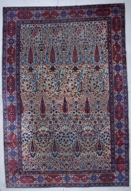 #5927 Laver Kerman Persian Antique Rug 
Size: 9’9″ X 14’6″

Age: Circa 1880

 https://antiqueorientalrugs.com/product/5927-laver-kerman-persian-antique-rug/                    