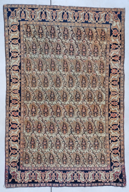 #7462 Fereghan antique rug

This Fereghan measures 4’1 x 6’2” (122 x 188 cm). This rug has a boteh design on a very pale pistachio green ground which as is normal in Fereghans  ...