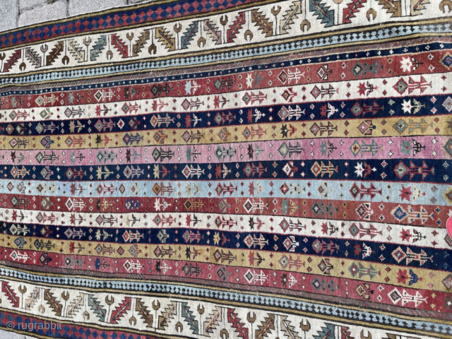 his circa 1850 or older antique Caucasian Shirvan runner measures 3’7” X 9’4”. It has twelve stripes in eleven different colors. This is the finest woven Shirvan of its type I have  ...