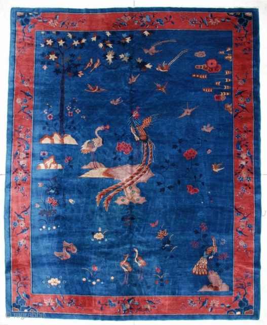 #5983 Antique Peking Chinese Rug
This circa 1900 Peking Chinese rug is covered with birds and more birds. It measures 9’2” x 11’4”. It is in beautiful mint condition. The light navy blue  ...
