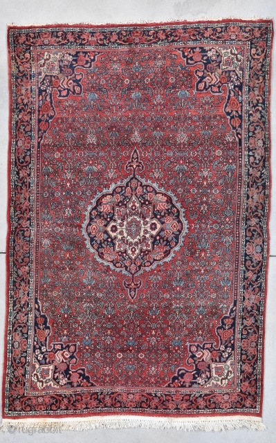 Bidjar Persian Oriental Rug #7952
This circa 1930 antique Bidjar Persian Oriental Rug measures 4’6” X 6’8”. It is wool on cotton Bidjar with a pulled center medallion in indigo and ivory on  ...