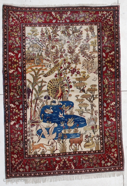 #6450 Laver Kerman Persian Antique Rug
This Laver Kerman antique Persian Oriental Rug measures 4’6” X 6’5”. It has a hunting scene and a tree of life design on an ivory ground. The  ...