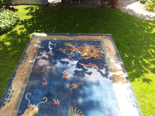 A beautyful blue chinese dragonrug with 2 dragons fighting over a pearl.
It's a big rug: 300cm X 430cm
Hand knotted.

It has some stains but is not in real bad shape and not worn  ...
