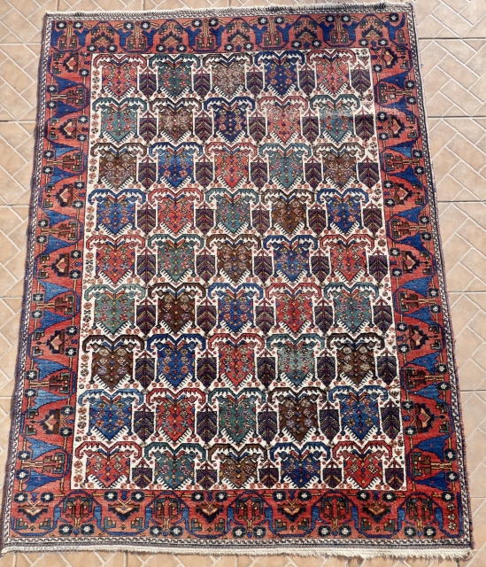 Afshar rug, probably Aqta, 198 x 146 cm. (6,5ft x 4.8ft) Early 20 th. century The white ground with  shield design, consisting of stylised lotus blossoms, flanked by trees. Good, strong  ...