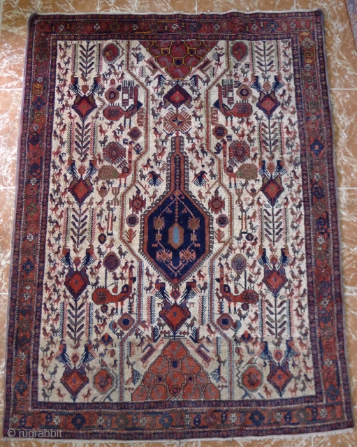 Neriz rug, 135 x 185 cm. Afshar subgroup with typical white ground  and  various bird motifs.               