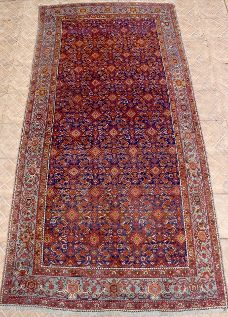 Malayer Main carpet, 305 cm. x 156 cm. early 20 th. century. Allover "herati" design on a subtle abashed dark blue ground.
 Great colours in terracotta, salmon and mint-green. Attractive pale-blue main  ...