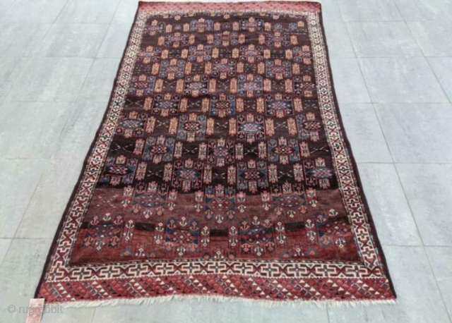 Turkman Yamoud 

146 x 235 cm

Beautiful rug                          