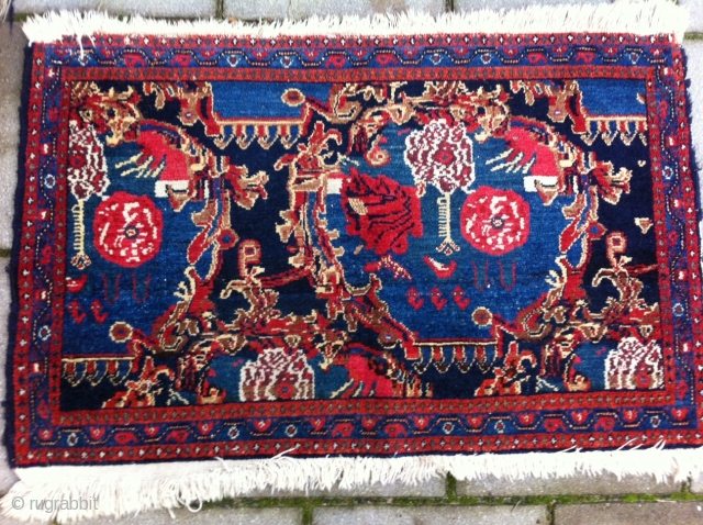 Senneh Rug Size: 55 x 88cm, nice drawn and good condition                      