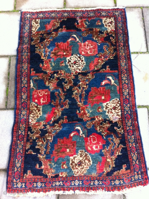 Senneh Rug Size: 63 x 98 cm, beautiful drawing and colors, in a good condition (a little moth damage)              