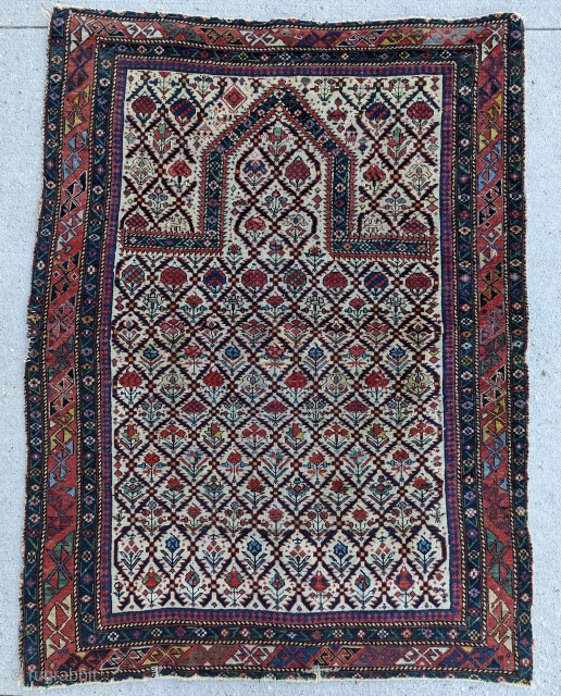 A Dynamic Antique Shirvan Prayer rug, circa 1860 or before, beautiful range of colors, blues, greens, and yellows. size 3'5" by 4'6"           