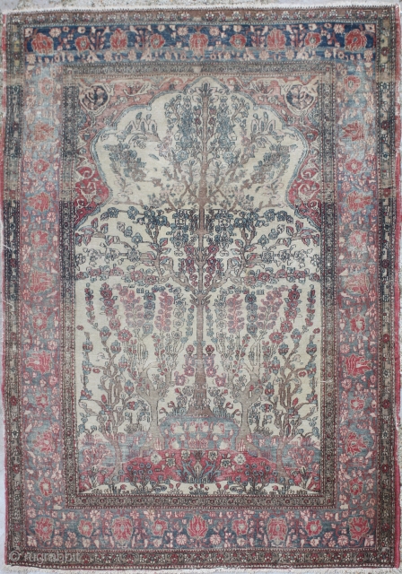 Antique Tabriz Rug


Category: 	Antique
Origin: 	Persian
City/Village: 	Tabriz
Size cm: 	140 x 209
Size ft: 	4'8'' x 6'11''
Code No: 	R5167


This rug is over hundred years old and some minor damage       