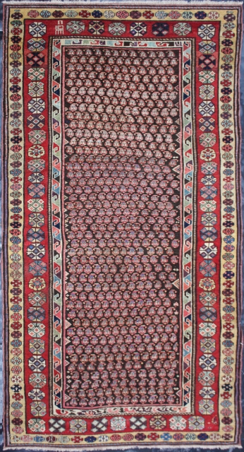 Antique Caucasian Rug


Category: 	Antique
Origin: 	Caucasian 
City/Village: 	Caucasia
Size cm: 	114 x 240
Size ft: 	3'9'' x 8'0''
Code No: 	F1166
Availability: 	In Stock
Price: 	On Request

This rug is over hundred year’s old and very good condition  
