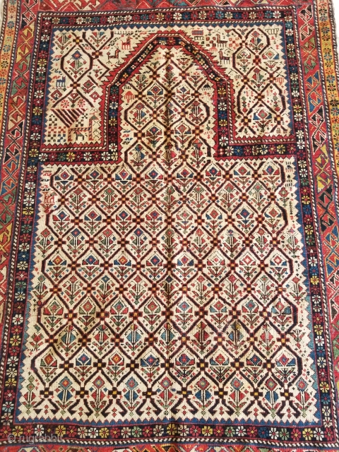 shirvan Rug size 6 x 4                           