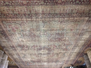 Large size 19th Century Kirman Laver collectible Rug Size:9x12.                        