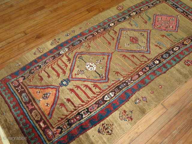 Antique MEATY Bakhshaish Camel Hair runner 3'4''x6'10''.  Fantastic piece.  Great pile.  Minor old repiles found.  Just a few..  Rug is a bit wonky.     