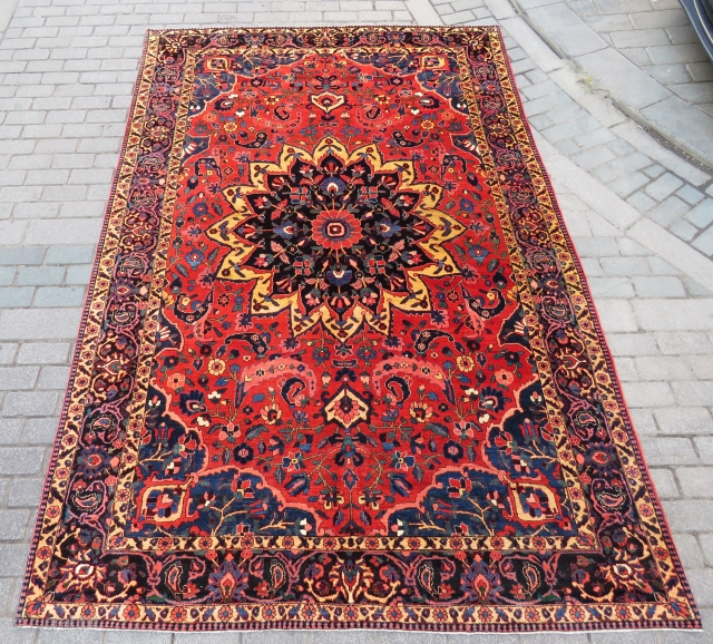 Persian Bahtiar Rug all original amazing wool and colors like serapi and full pile size 3,15x2,10 cm and  Circa 1900-1910            