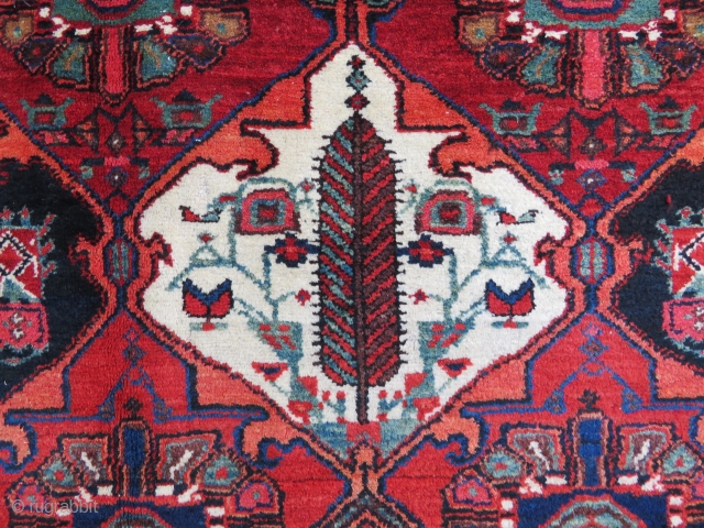 Persian bakhtiari rug wonderful colors , excellent condition all original and very fine quality size 2,96x2,20 cm Circa 1900-1910  
if you want to see more pictures please request l will be  ...