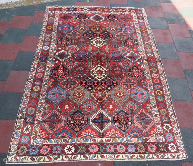 Iran Bahtiary rug wonderful colors and excellent condition all original size 3,08x2,15 cm Circa 1910-1915                  