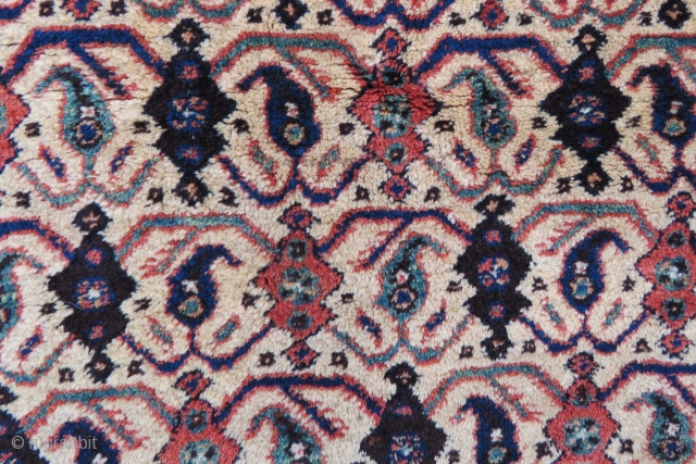 Avshar rug wonderful colors and excellent condition all original size 1,57x1,17 cm Circa 1900                   