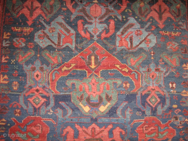 Bidjov Rug
19th c.                              