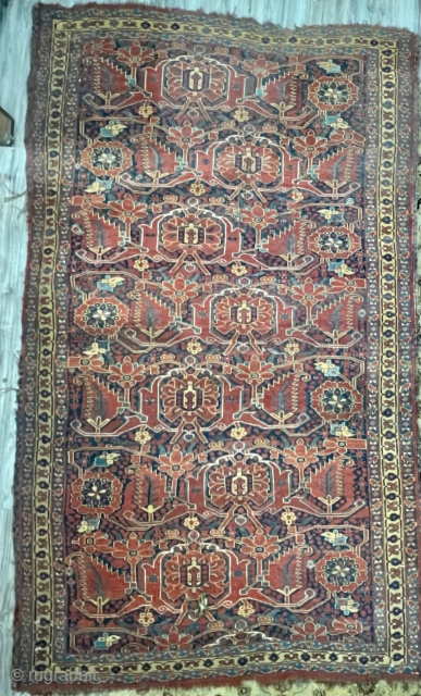 Bashir Rug with
palmette and pine leaf patterns red and blue ground
97” x 56” 8,56 
Condition , holes, repairs
               